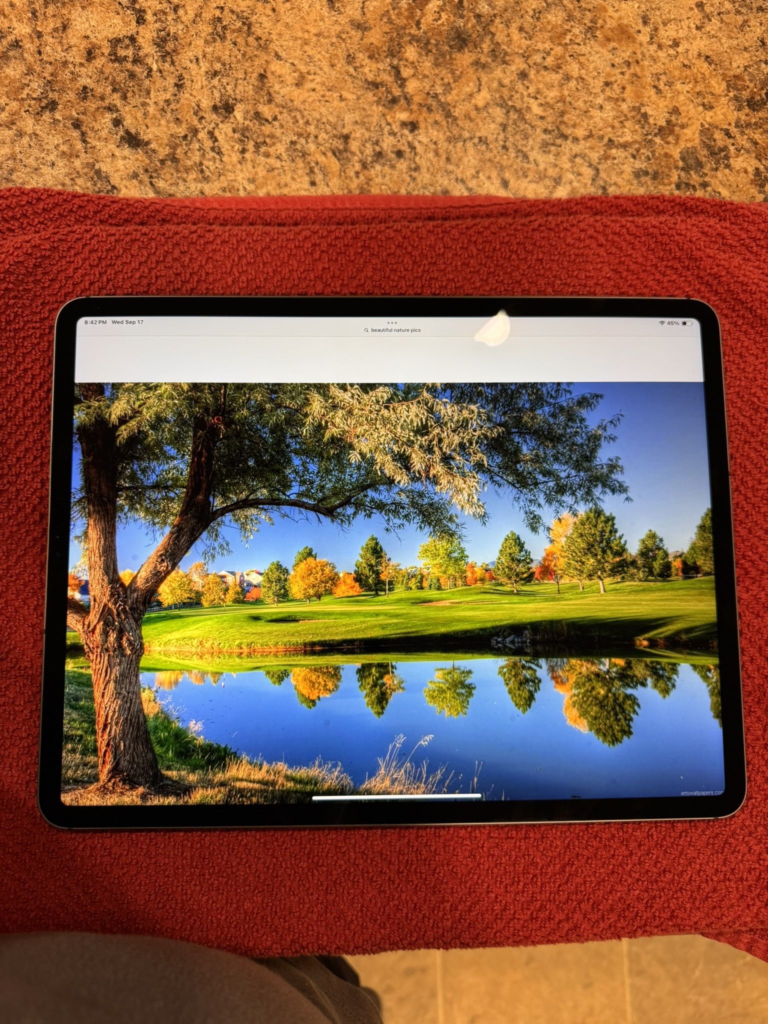 iPad Pro 12.9 Inch Wi-Fi 512gb  4th Generation 