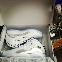 Jordan retro 10 wings size 10 brand new in box
