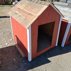 Dog House 