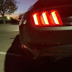 OEM Mustang Tail Lights