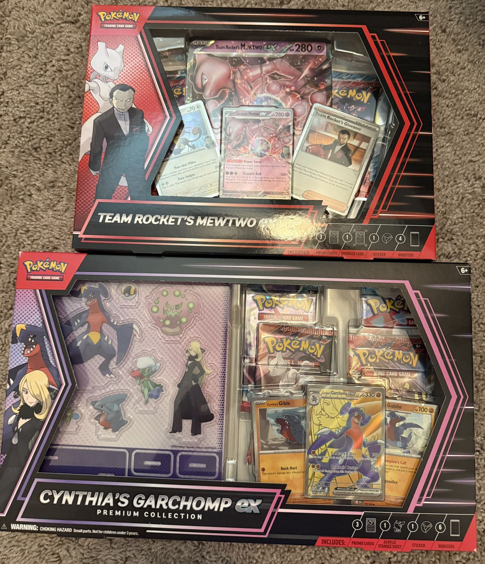 Team Rocket Mewtwo and Cynthias Garchomp