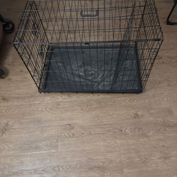 Pet Kennel