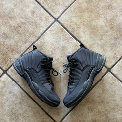 Jordan 12 “Winter”