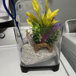 $5  🐟Small fish tank/bowel for a betta or goldfish  Fish net, rocks and coral plants included