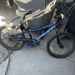 Schwinn BMX 20 inch wheels