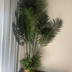 2 Fake Plants 