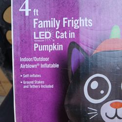 Cat Pumpkin