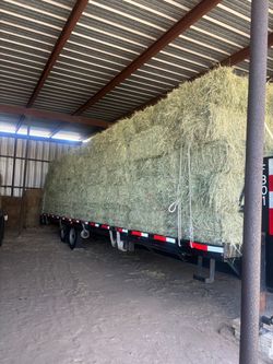 Tifton 85 Hay