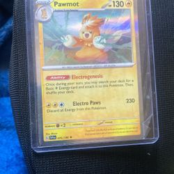 Pawmot