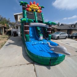 Waterslide For Sale 