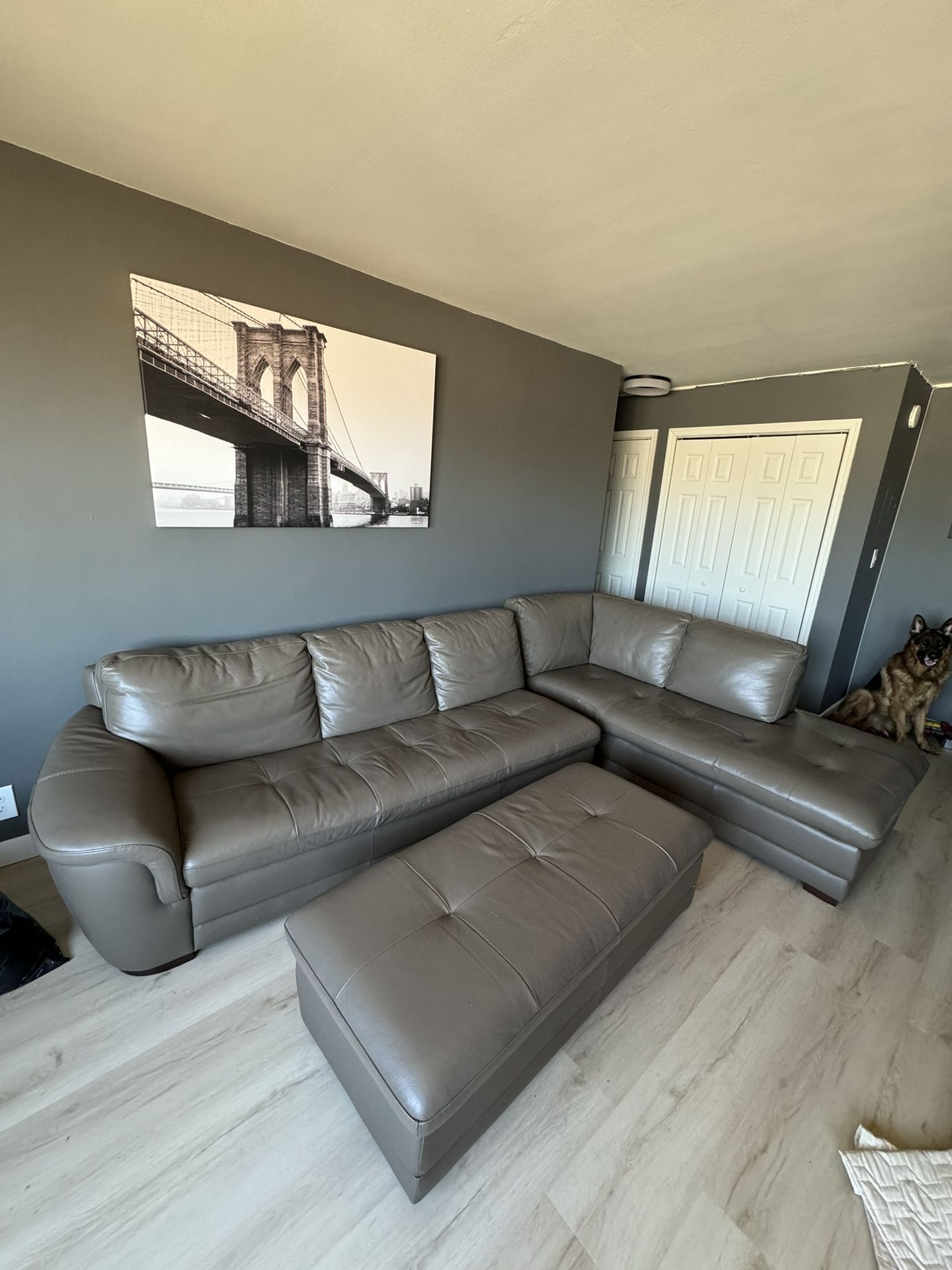 BEAUTIFUL COUCHES FOR SALE