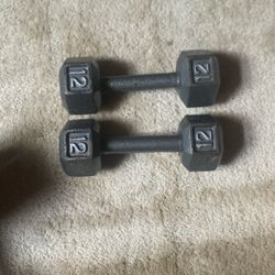 12lb Weights 