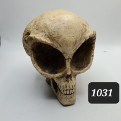 Resin Alien Skull 