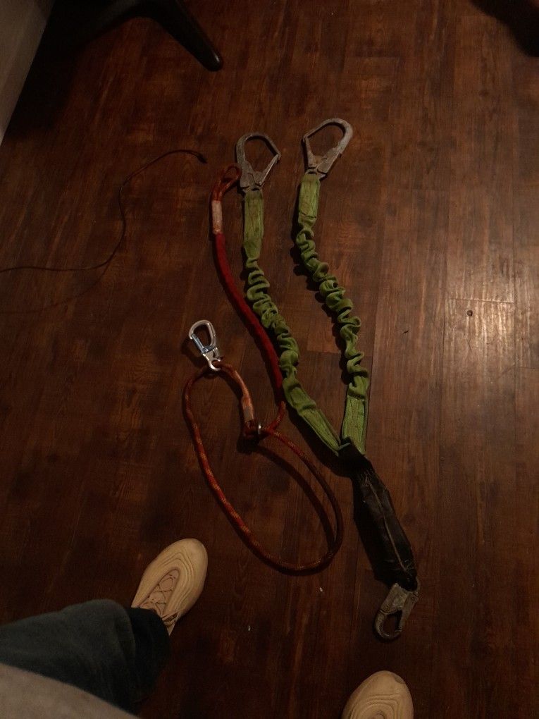 Harness