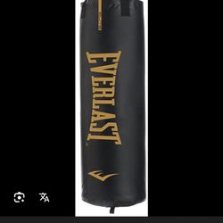 everlast punching bag and gloves