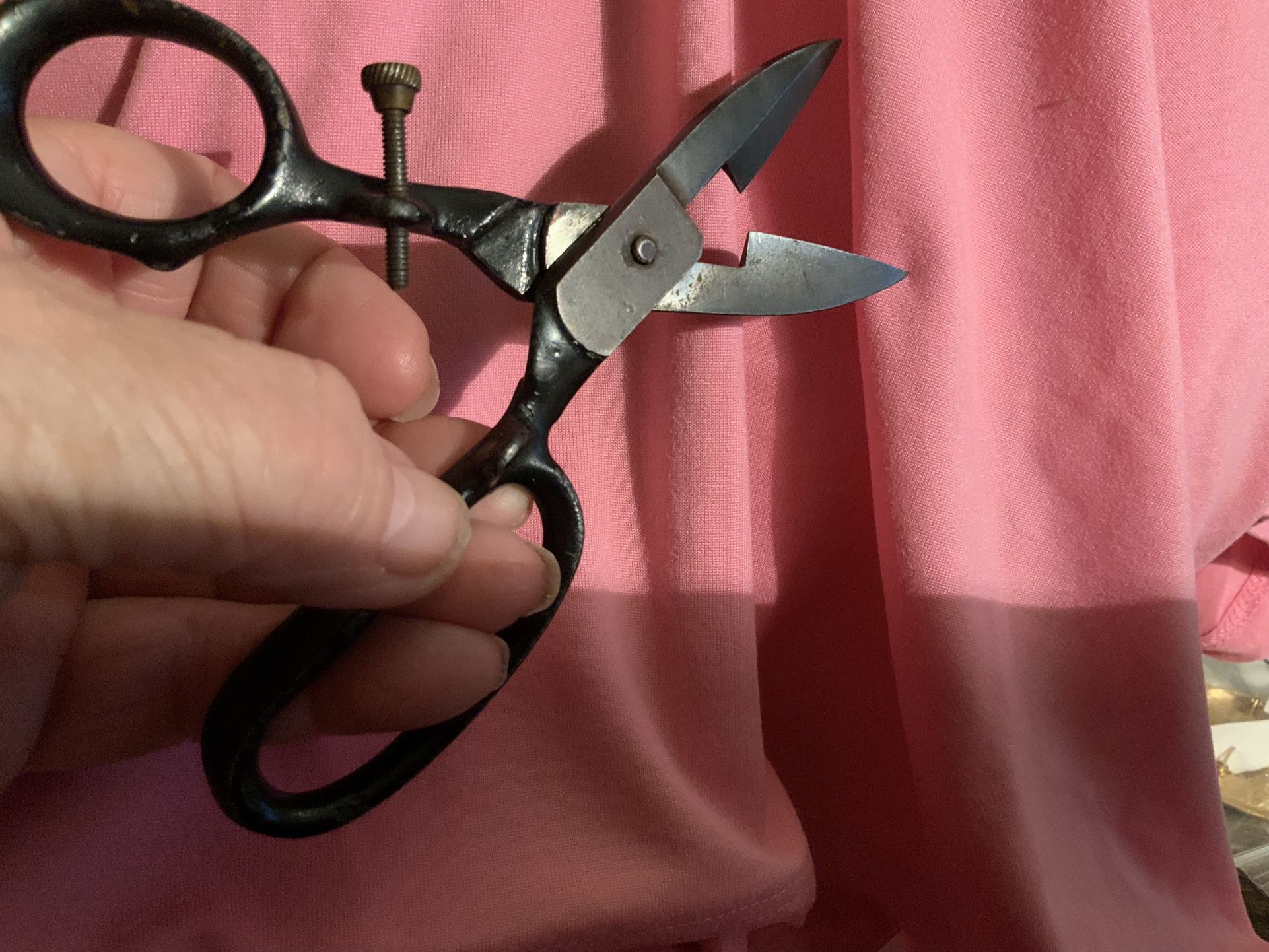 Antique Buttonhole Scissors