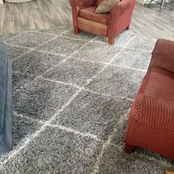 10x14 Area Rug 
