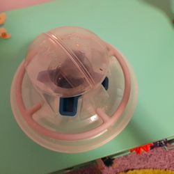 Small Bird Feeding And Drinking Center