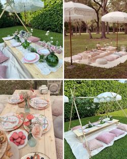 ✨Luxury Pop-Up Picnic For Parties! 🧺🤍