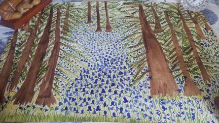 Bluebell Forest