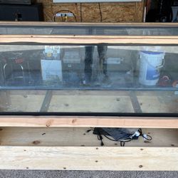 Fish / Reptile Tank 