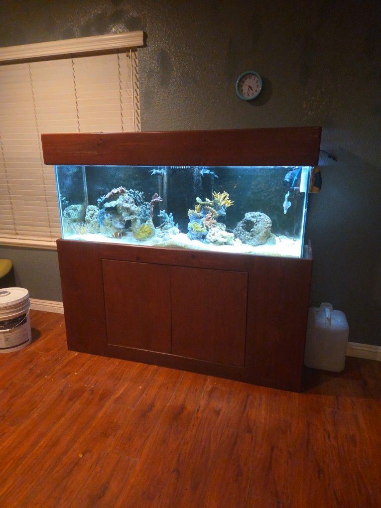 Fish TANK 120GALLON SALTWATER AS IS
