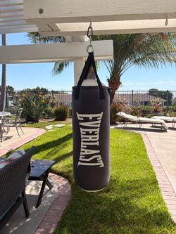 Everlast punching bag 80 pounds