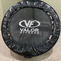 Valor heavy duty rebounder for toss/catch with medicine balls etc..