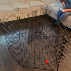 dog crate