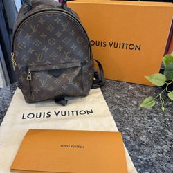 Louis Vuitton Palm Springs Monogram (Updated Zipper) PM