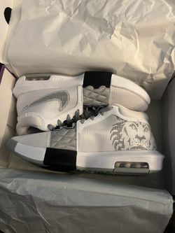 Nike Lebron witness viii