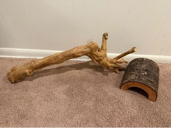 Reptile habitat decor
