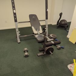 Gold s Gym XR 18.9 3 Weight Set for Sale in Edgewater Park NJ