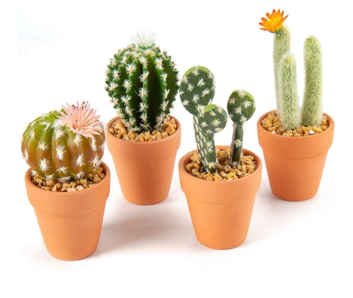 MINI ARTIFICIAL CACTUS SET