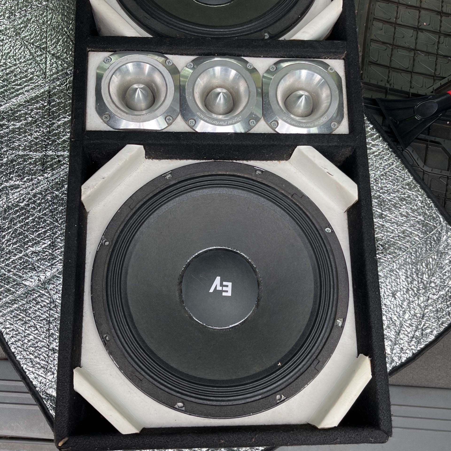 Evz 12 Inch Mega Bass With Chuchero Box And Tweeters 400 Or Best Offer 