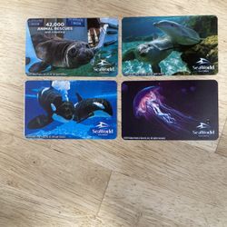 SeaWorld Tickets 🎟️