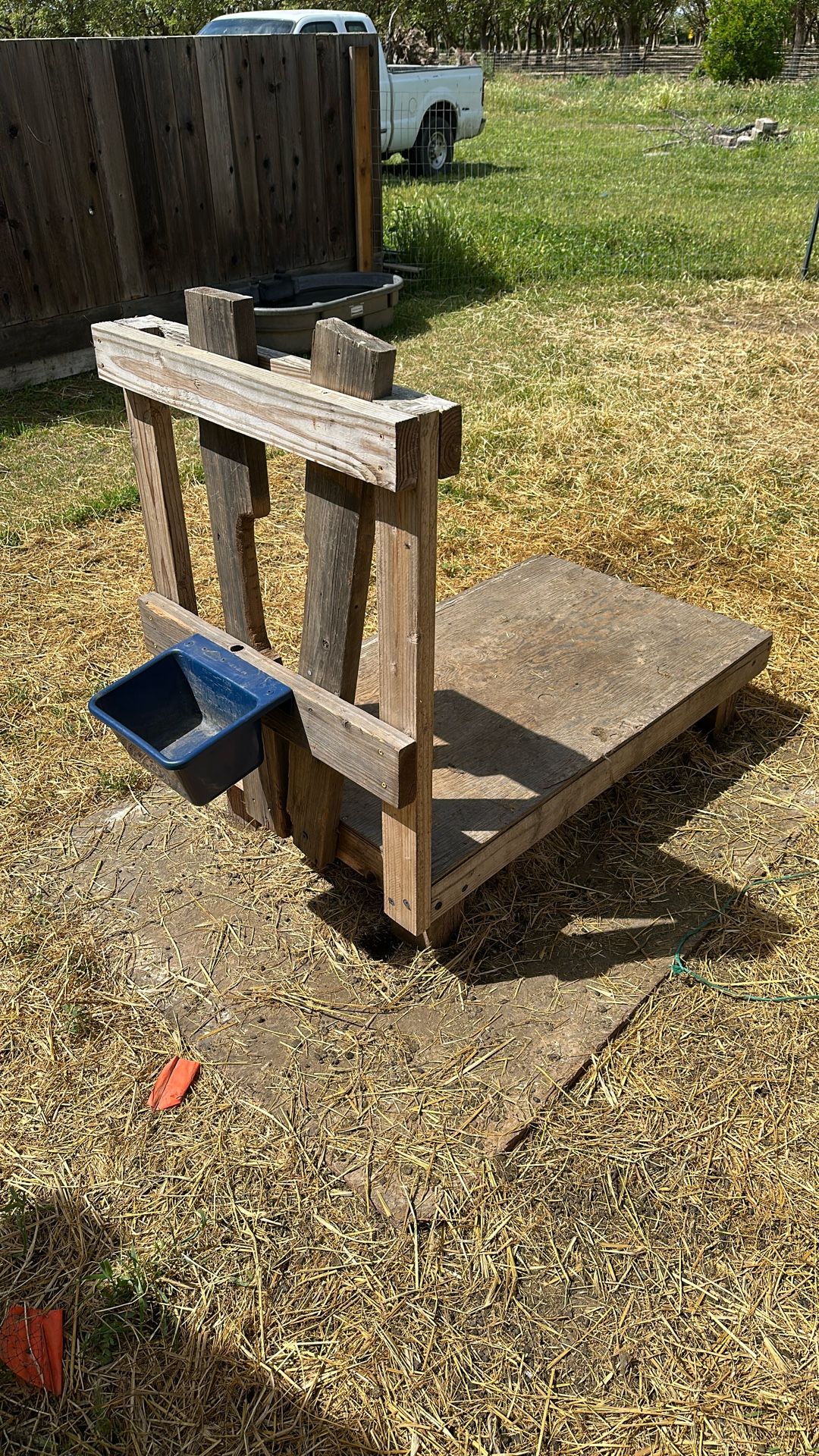 Goat, Milking Stand
