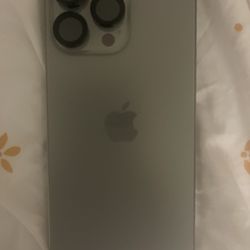 iPhone 15 Pro Max with Otter Case