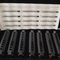 Learn To Play Harmonica Set