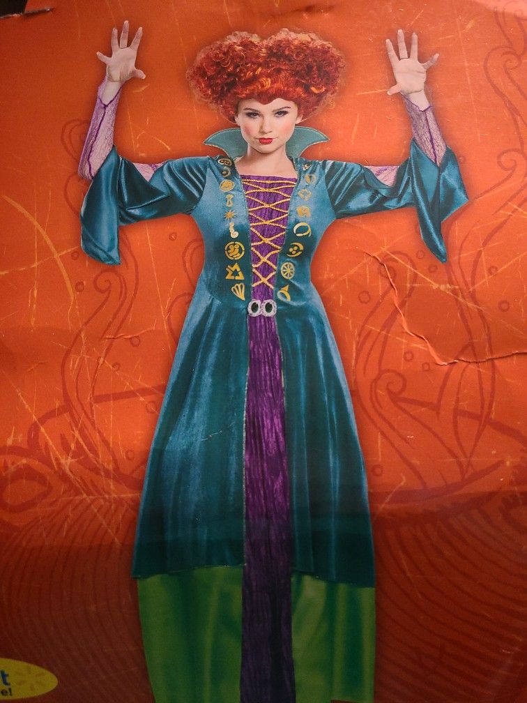 Wini Hocus Pocus Costume Plus Size