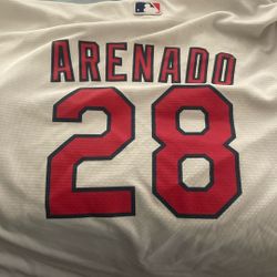 Cardinal Shit Size L 14/16