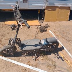 Electric Scooter  Big