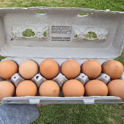 Farm Fresh Eggs