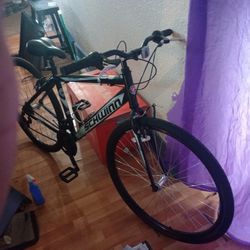 Schwinn Mountain Bike 