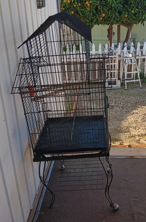 Nice Big Bird Cage