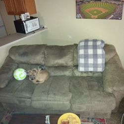 Well Maintained Couches