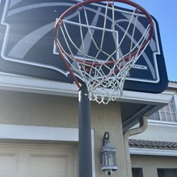 Lifetime Kids/Adult Basketball Hoop - Easily Adjustable $100 OBO