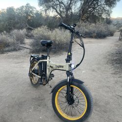 Electric Bike