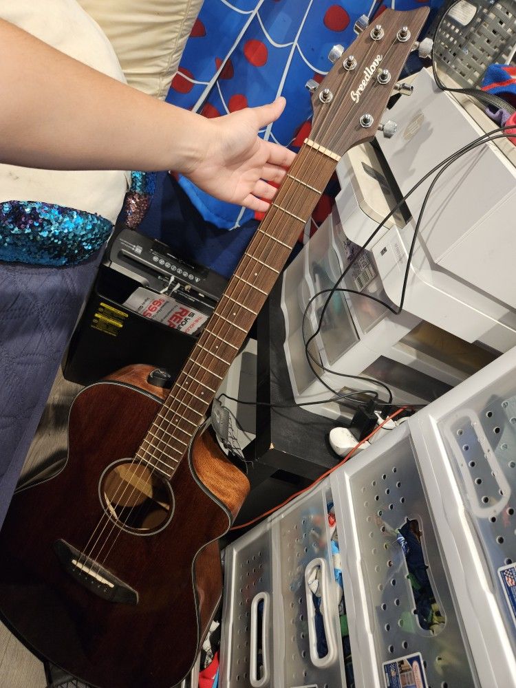 Breedlove Guitar Practically New