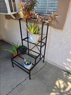 Planters